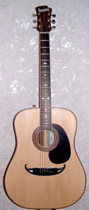 Degay Guitars - 6-string acoustic with a wide fingerboard