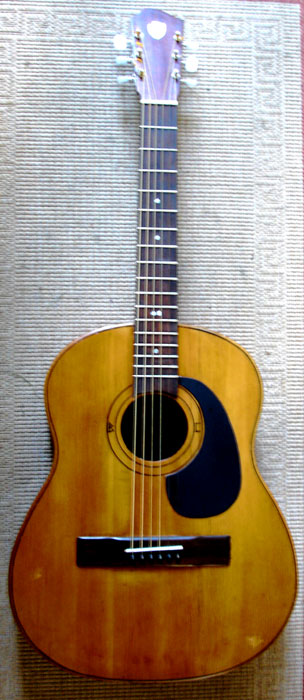 Degay Guitars - Brian Cullen's 1960 Zemaitis Acoustic - completed!