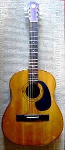 Brian Cullen's 1960 Zemaitis Acoustic - completed!