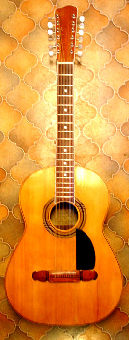 Degay Guitars -  renovated 1959 Zemaitis 12-string acoustic guitar