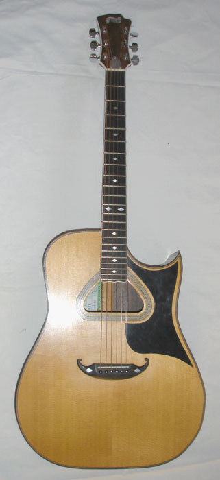 Degay Guitars - 6-string acoustic d-hole with florintine cutaway