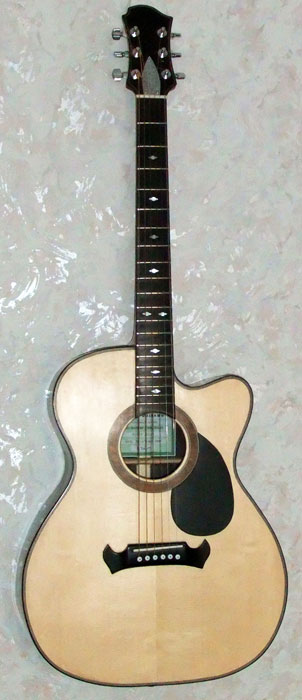 Degay Guitars - 6-string acoustic with venitian cutaway